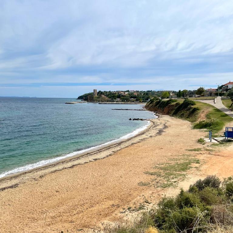 The beach